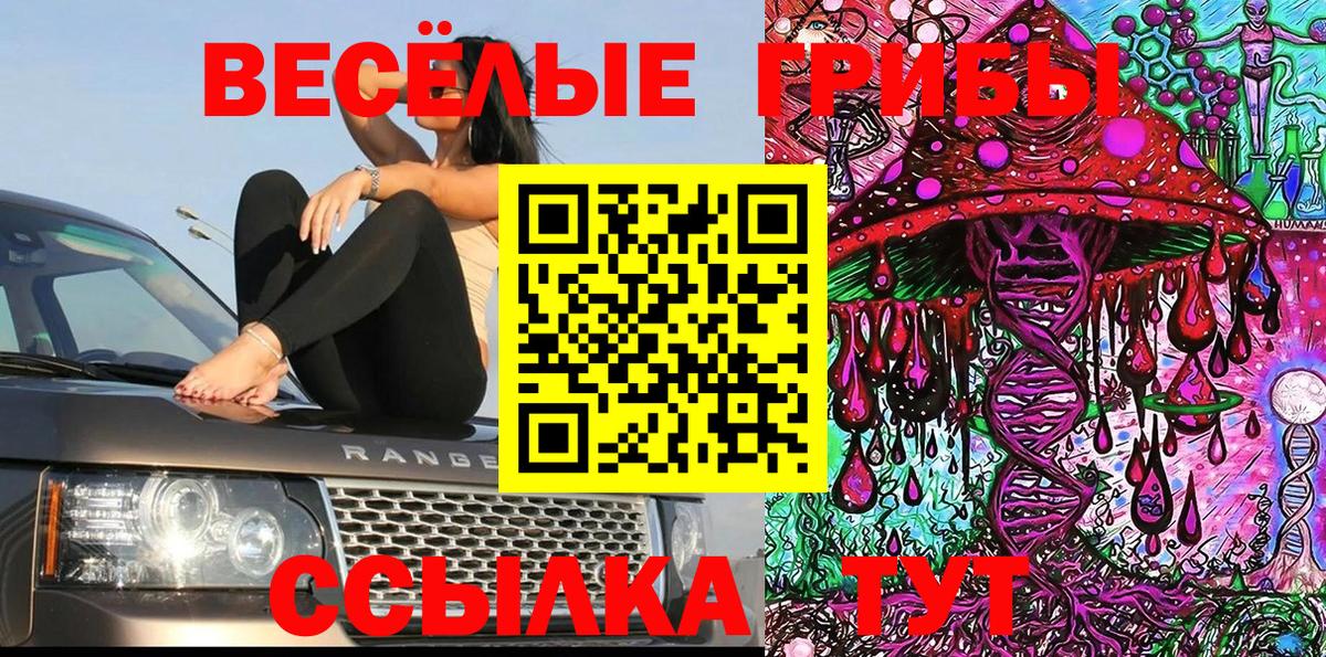 Галлюциногенные грибы мухоморы Губкин