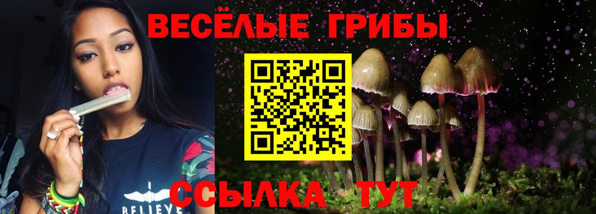 Галлюциногенные грибы прущие грибы  Псилоцибиновые грибы MAGIC MUSHROOMS  Губкин  Вход с VPN 